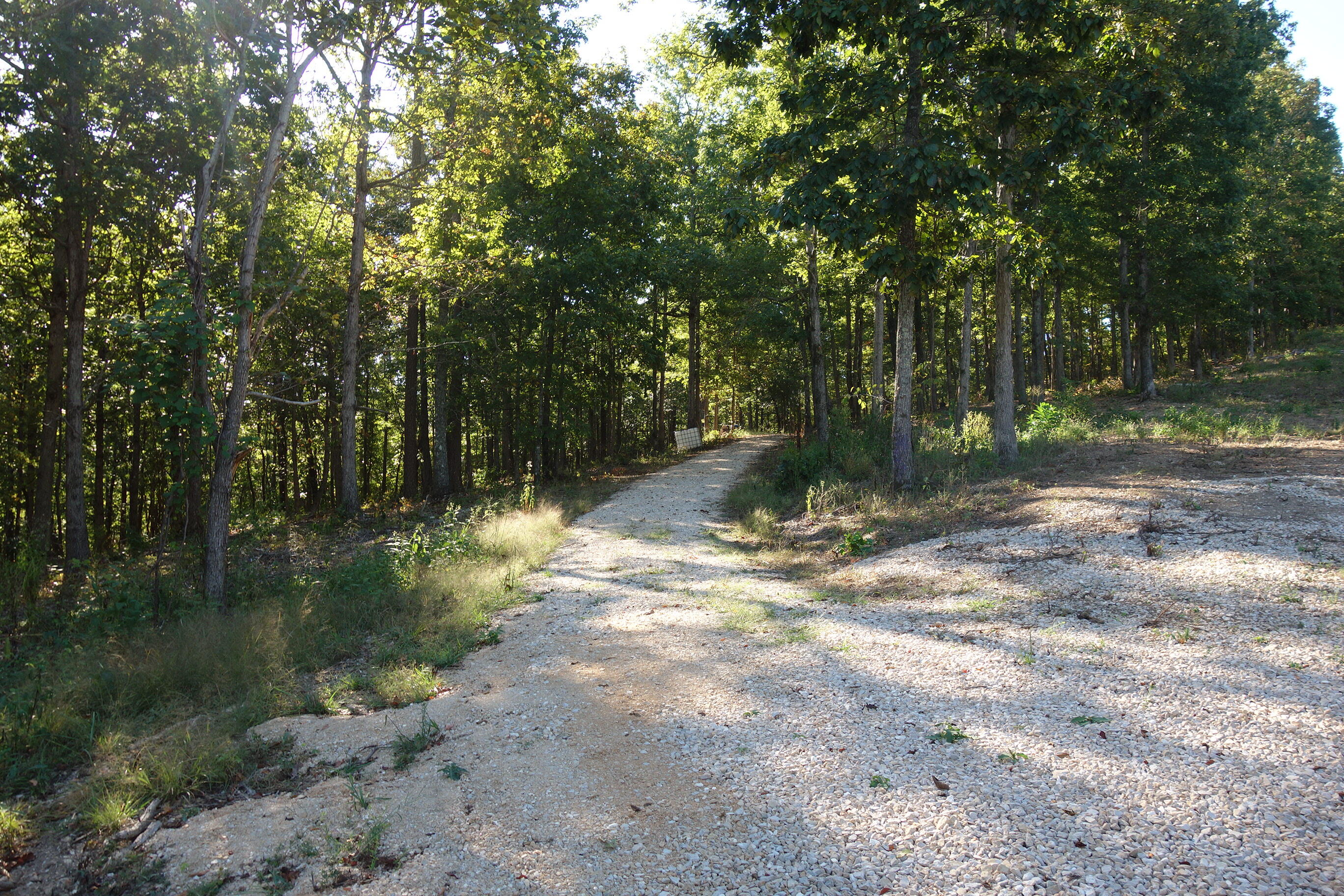 Photo 2 - Land for sale – 18698  Center Road   Eminence, MO