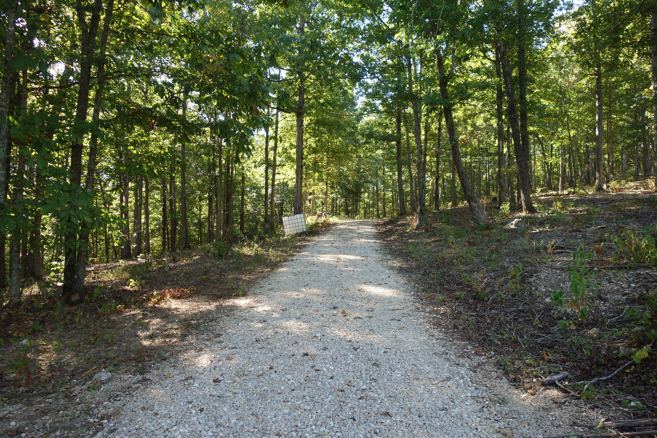 Photo 3 - Land for sale – 18698  Center Road   Eminence, MO