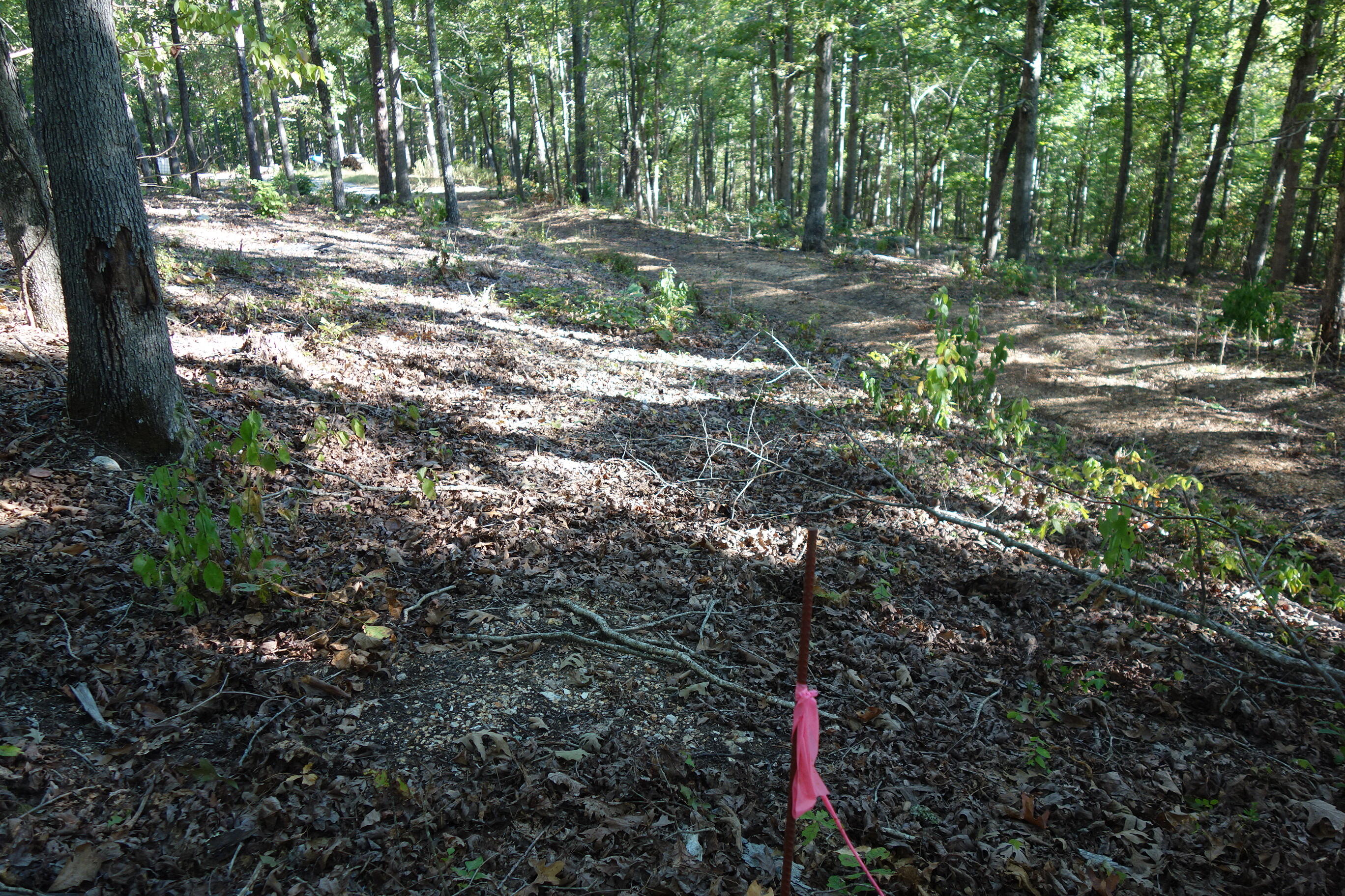 Photo 19 - Land for sale – 18698  Center Road   Eminence, MO