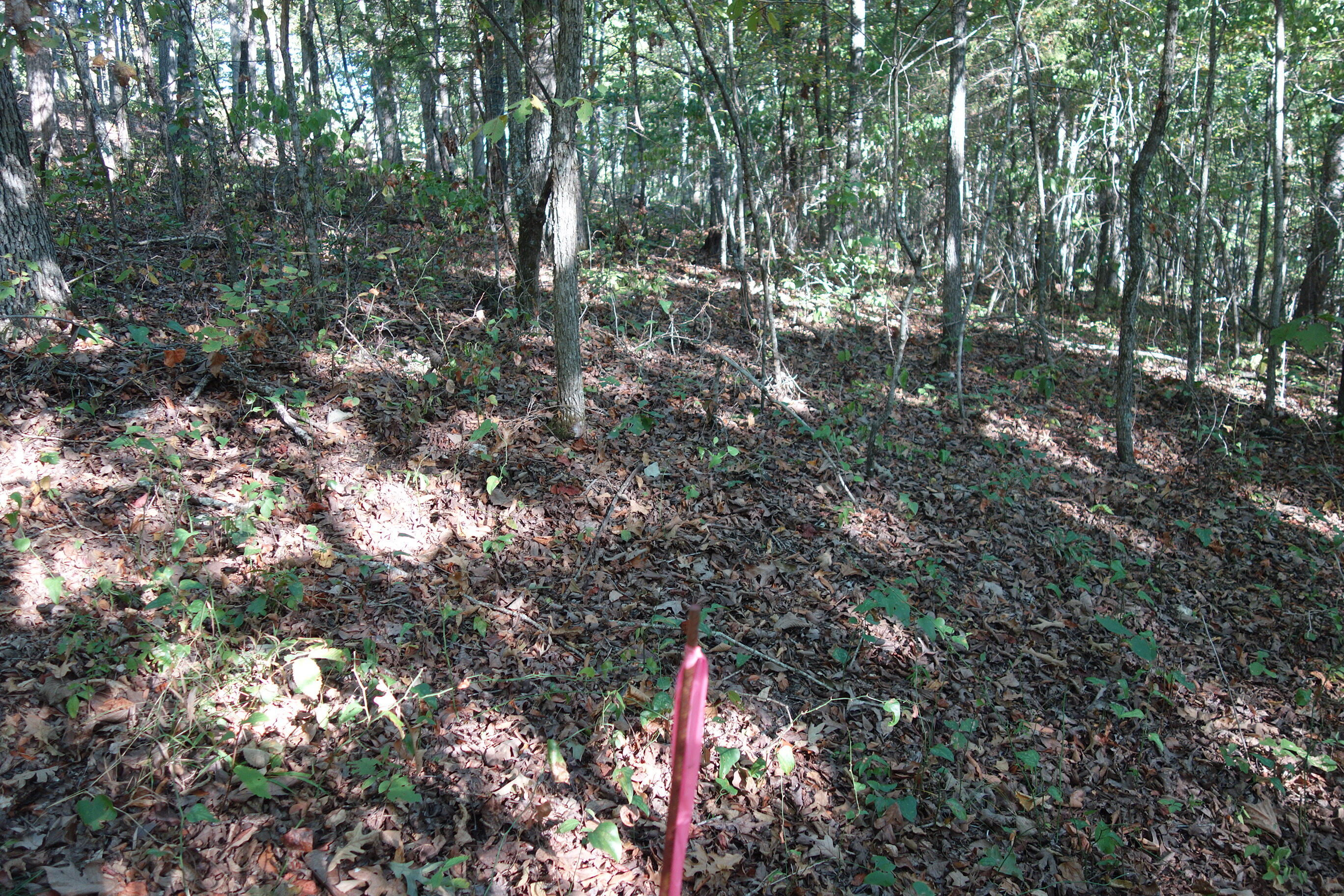 Photo 22 - Land for sale – 18698  Center Road   Eminence, MO