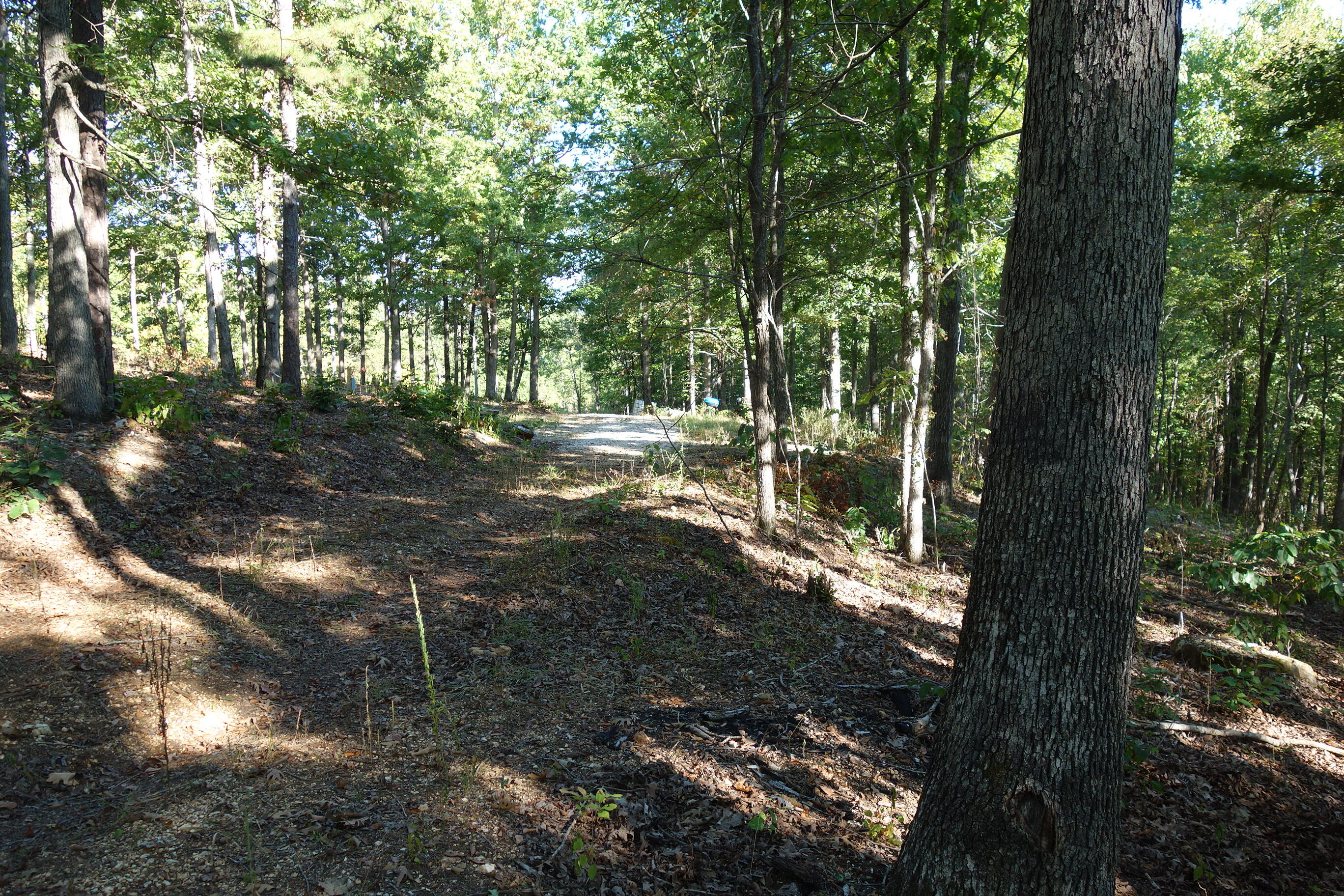 Photo 23 - Land for sale – 18698  Center Road   Eminence, MO