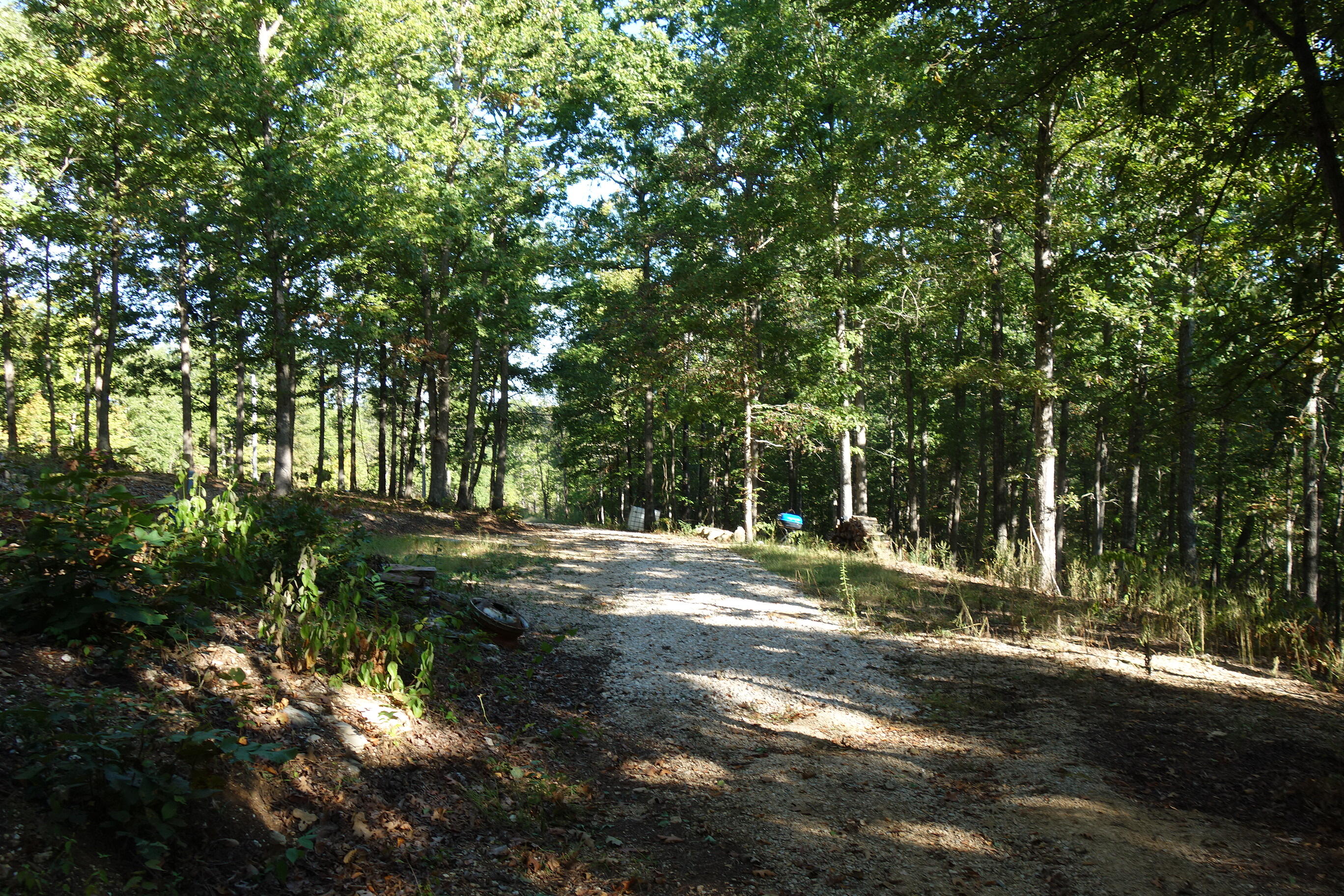Photo 9 - Land for sale – 18698  Center Road   Eminence, MO