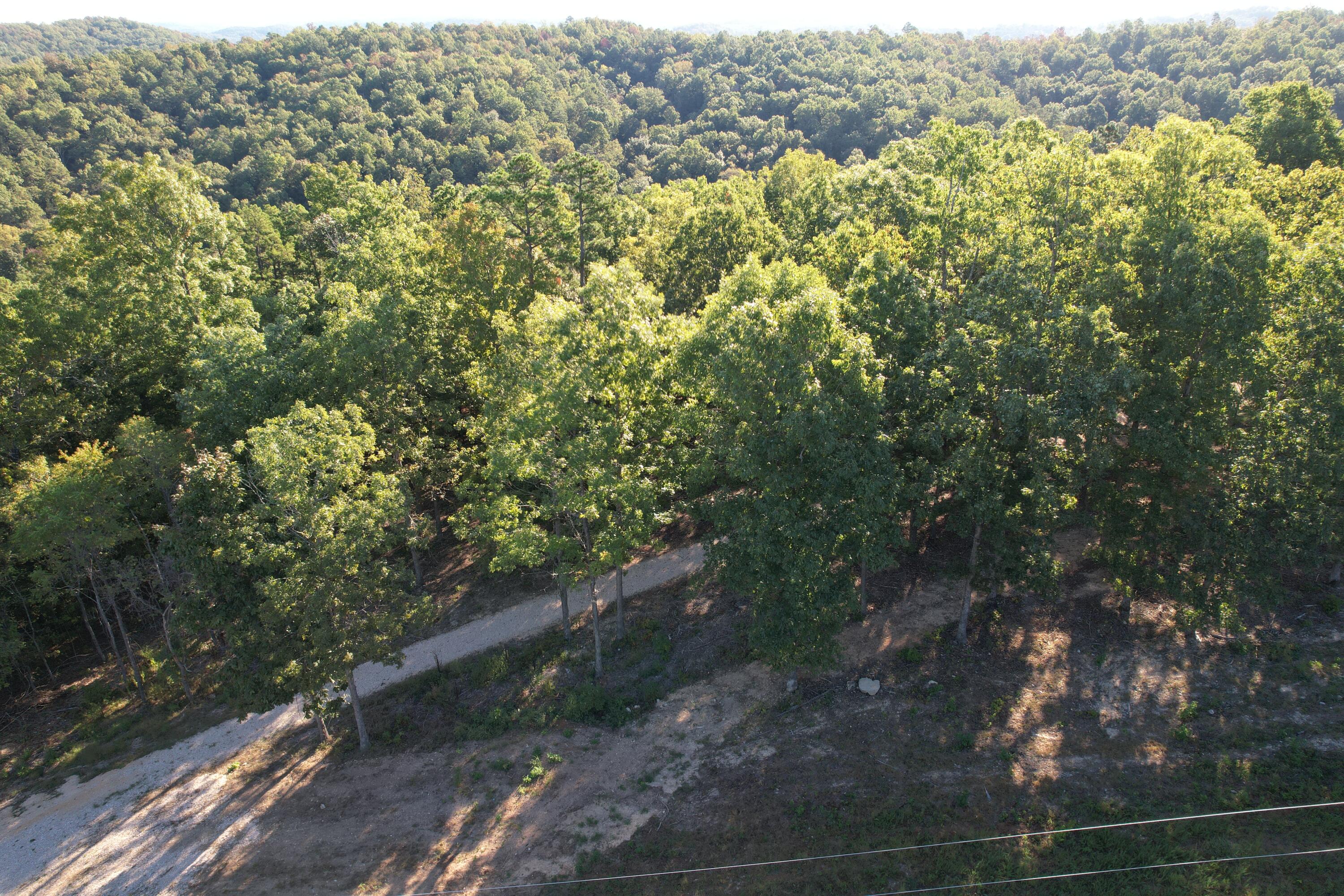Photo 13 - Land for sale – 18698  Center Road   Eminence, MO