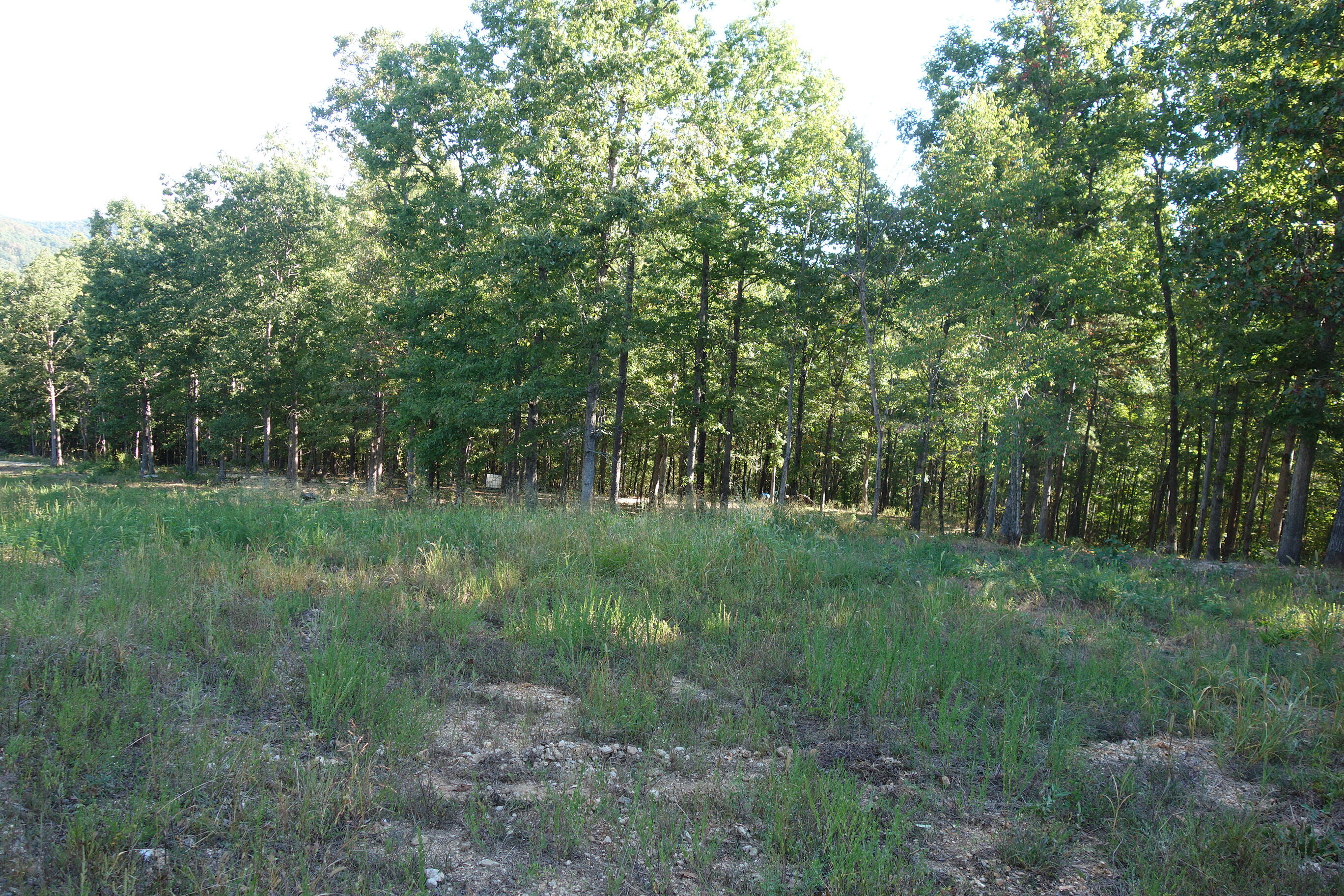 Photo 15 - Land for sale – 18698  Center Road   Eminence, MO