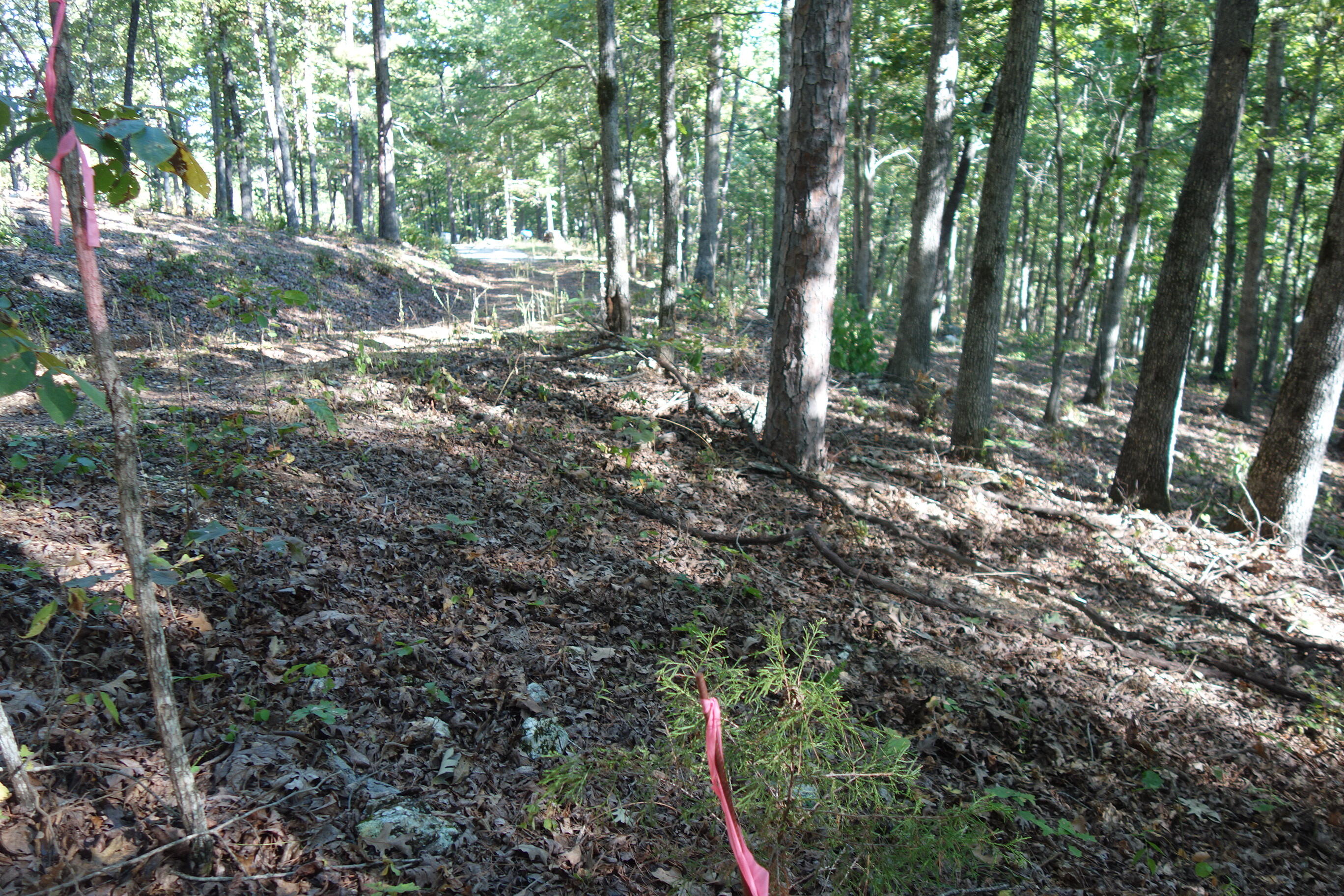 Photo 21 - Land for sale – 18698  Center Road   Eminence, MO