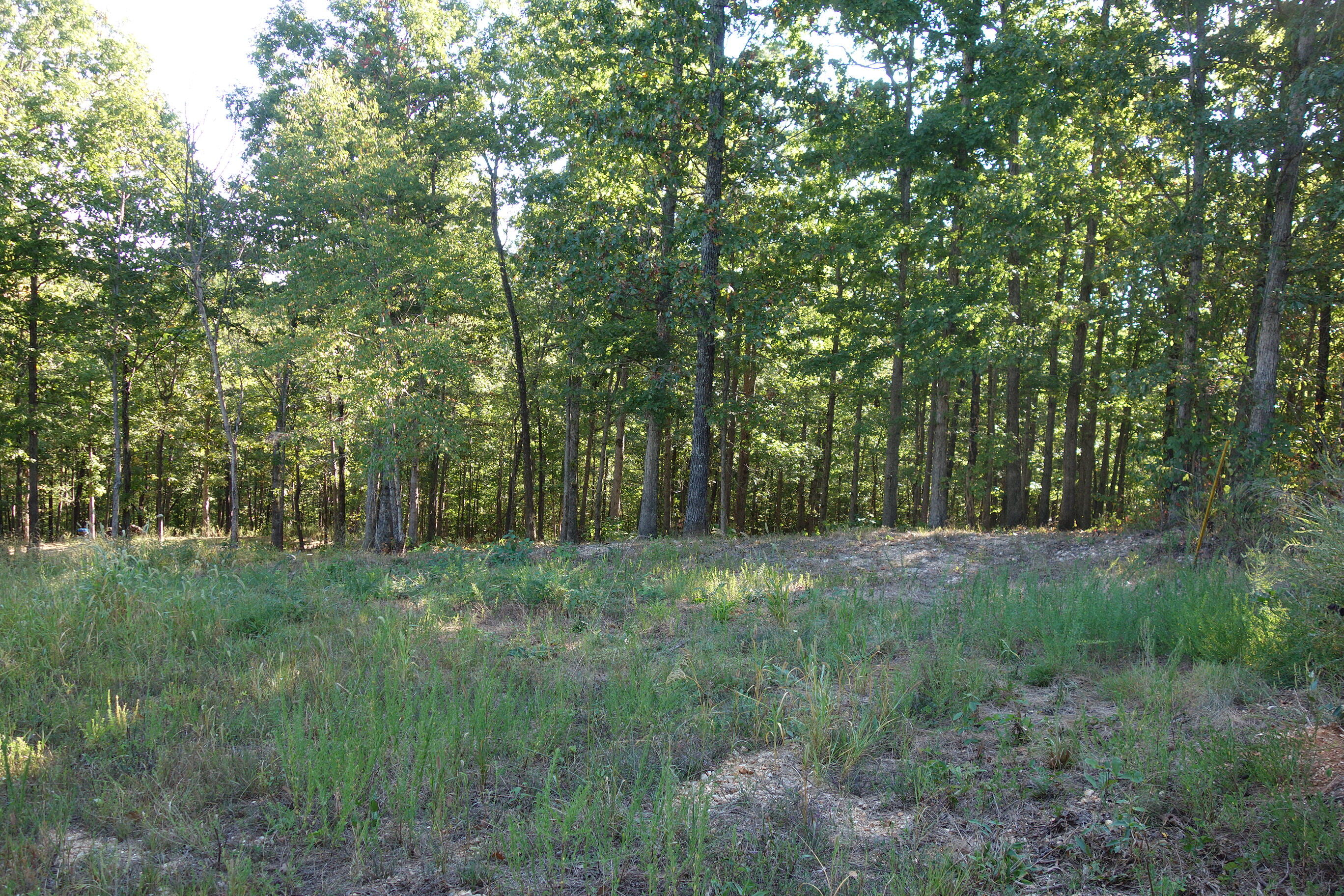 Photo 16 - Land for sale – 18698  Center Road   Eminence, MO