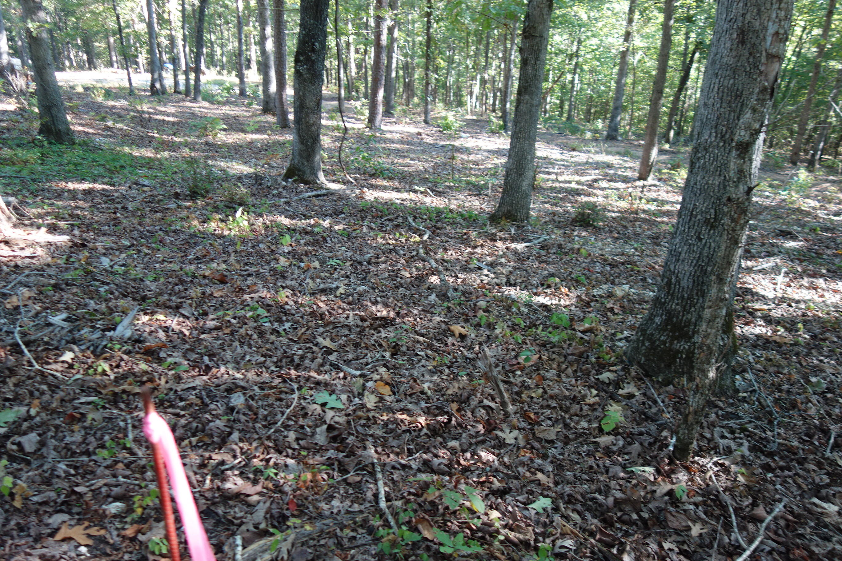 Photo 18 - Land for sale – 18698  Center Road   Eminence, MO