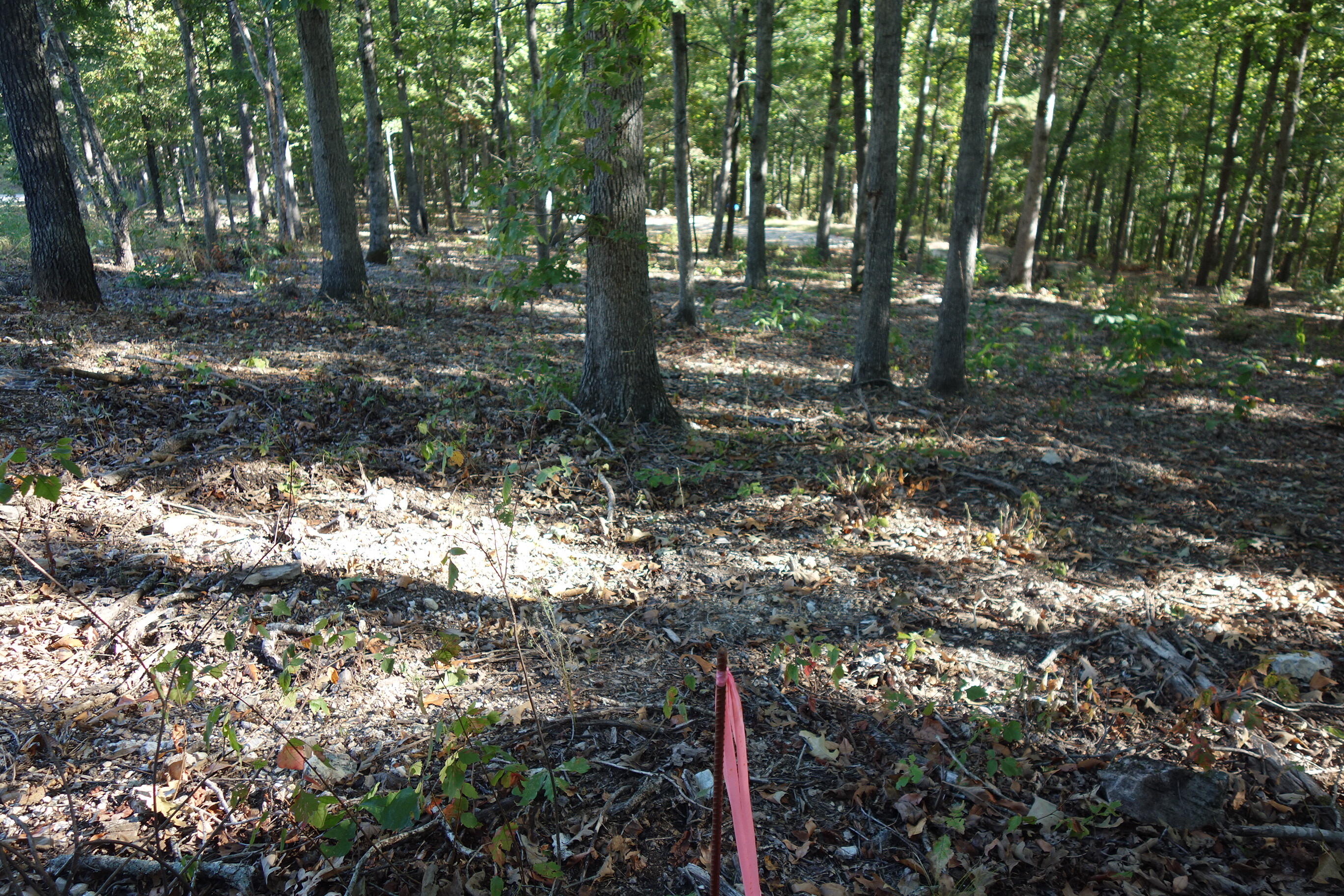 Photo 17 - Land for sale – 18698  Center Road   Eminence, MO