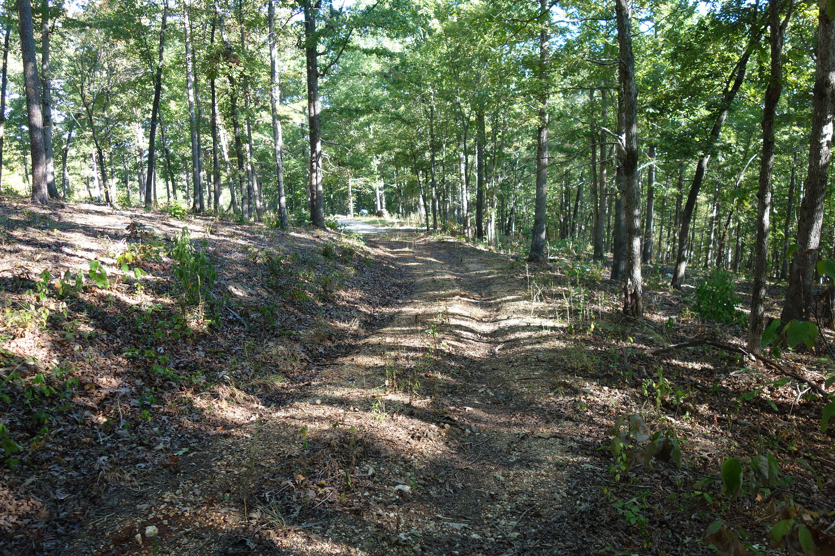 Photo 20 - Land for sale – 18698  Center Road   Eminence, MO