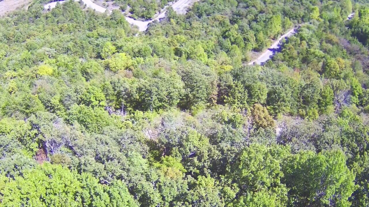 Photo 8 - Land for sale – Lot 244  Skylee   Hollister, MO
