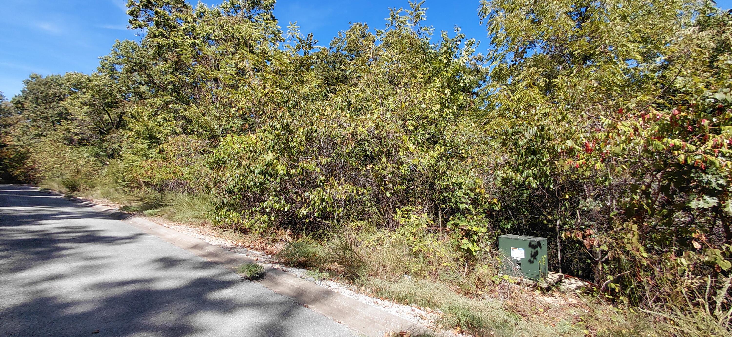 Photo 11 - Land for sale – Lot 244  Skylee   Hollister, MO