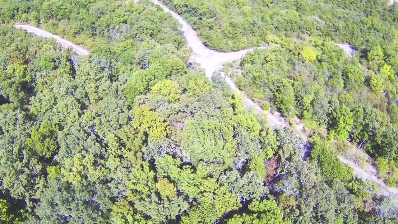 Photo 4 - Land for sale – Lot 244  Skylee   Hollister, MO