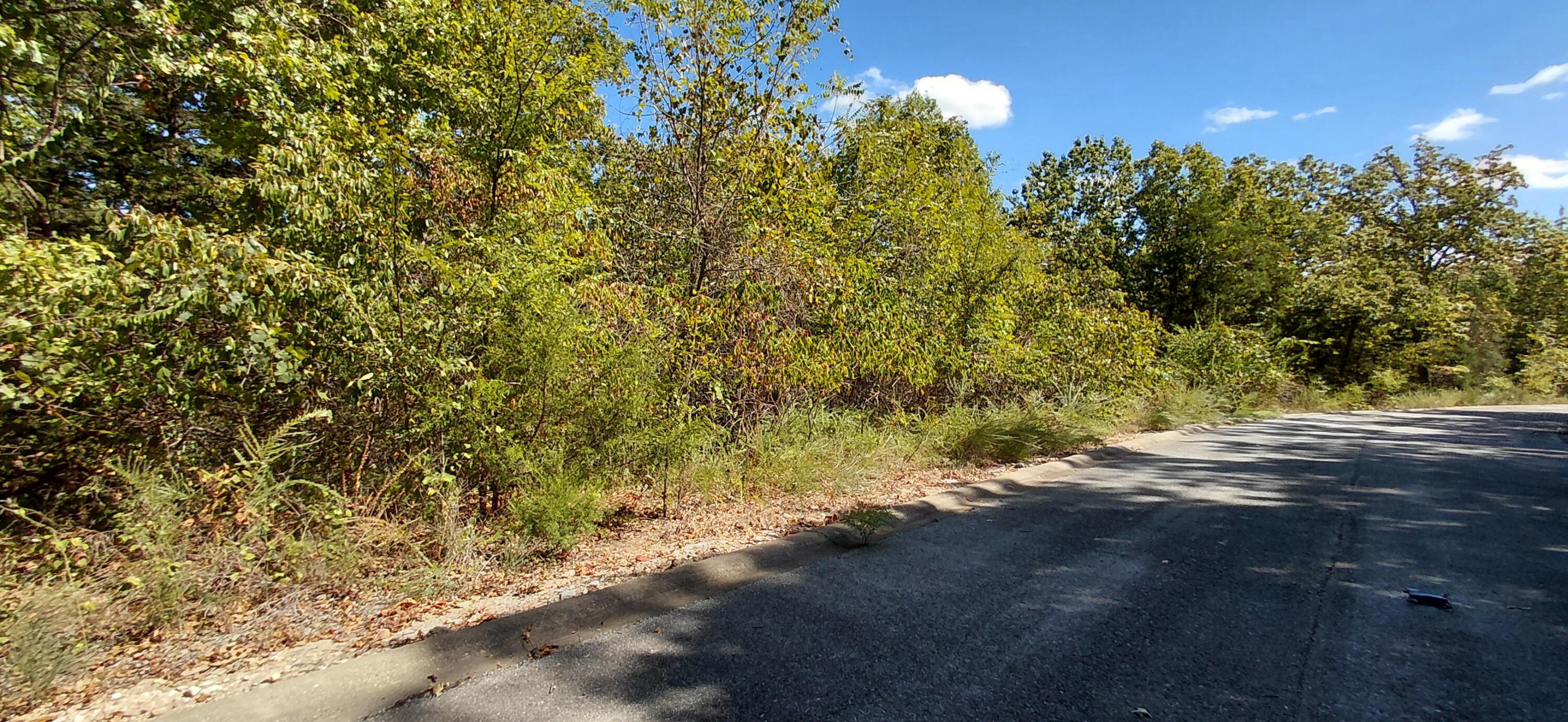 Photo 10 - Land for sale – Lot 244  Skylee   Hollister, MO