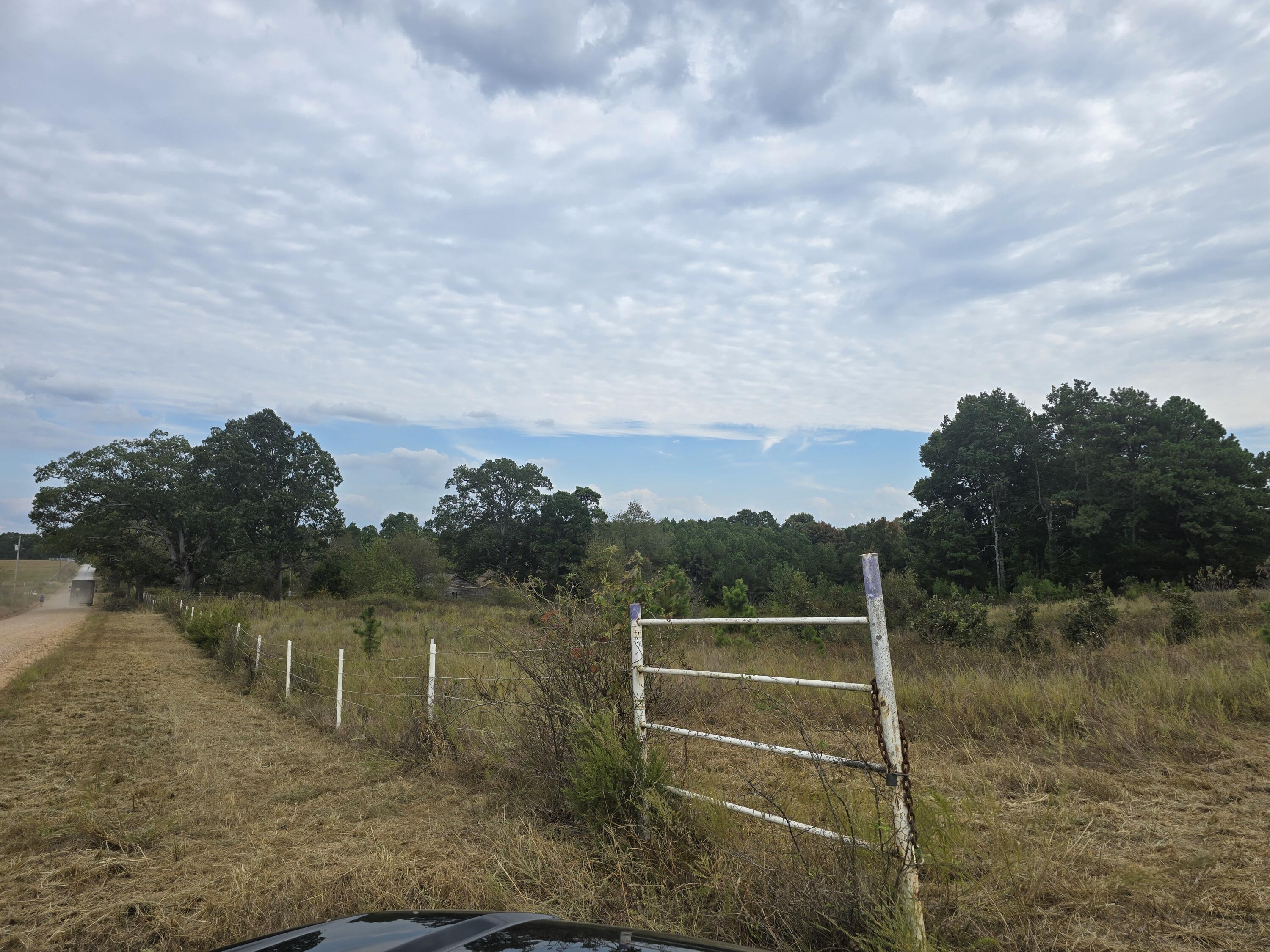 Photo 2 - Land for sale – 000  Golden Trail Drive  Raymondville, MO