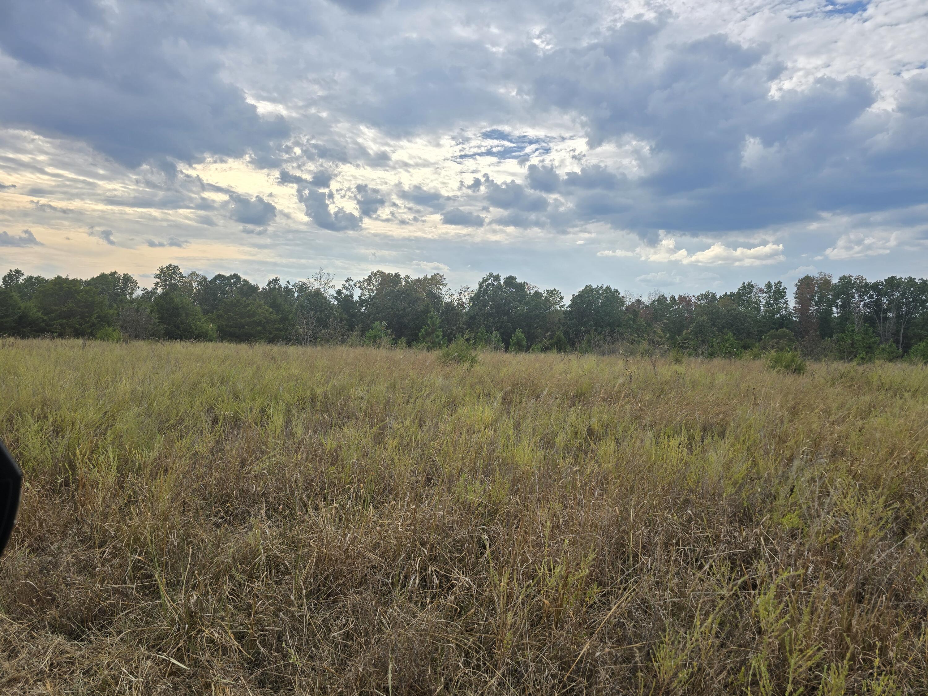 Photo 10 - Land for sale – 000  Golden Trail Drive  Raymondville, MO