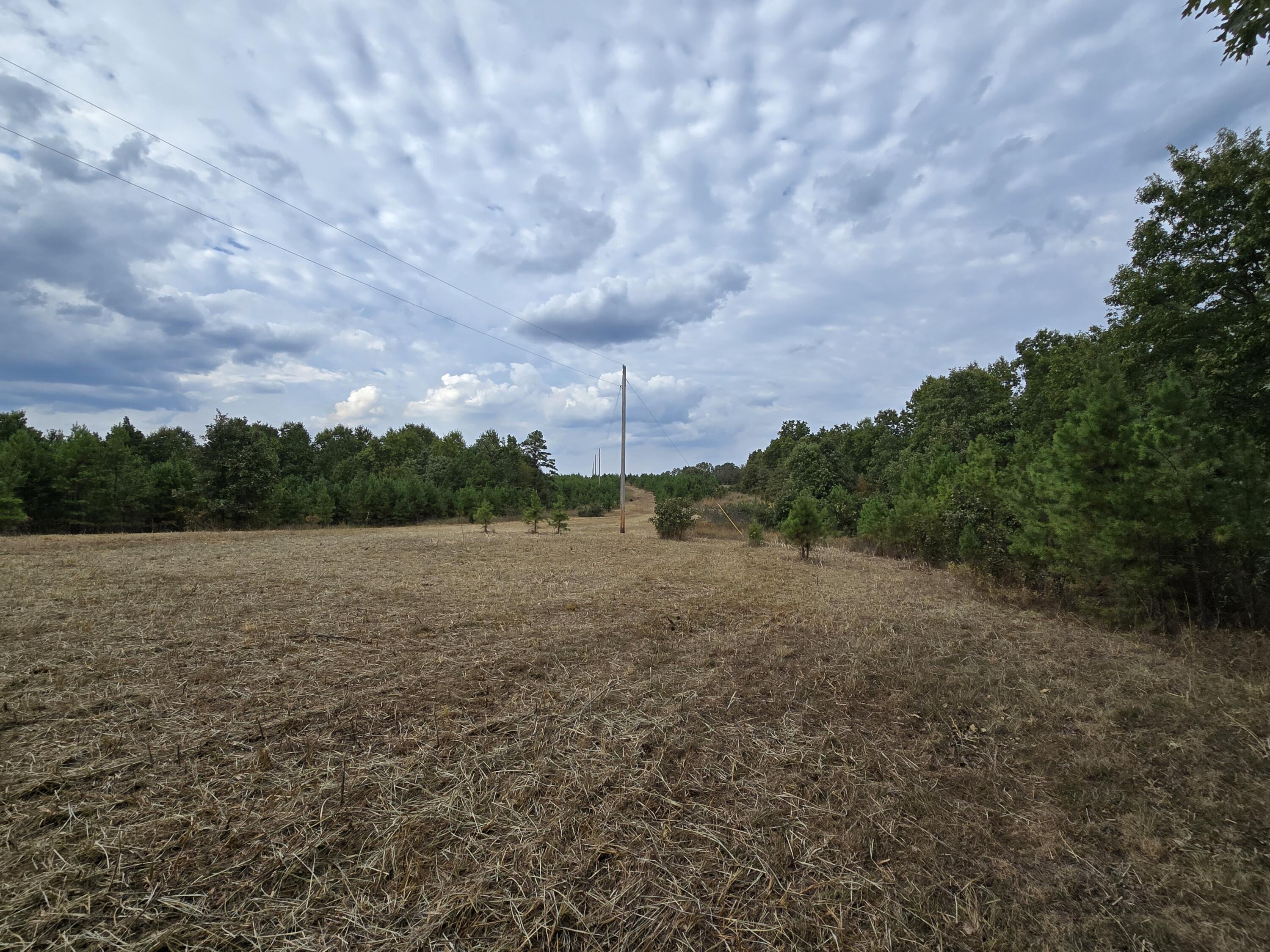 Photo 4 - Land for sale – 000  Golden Trail Drive  Raymondville, MO