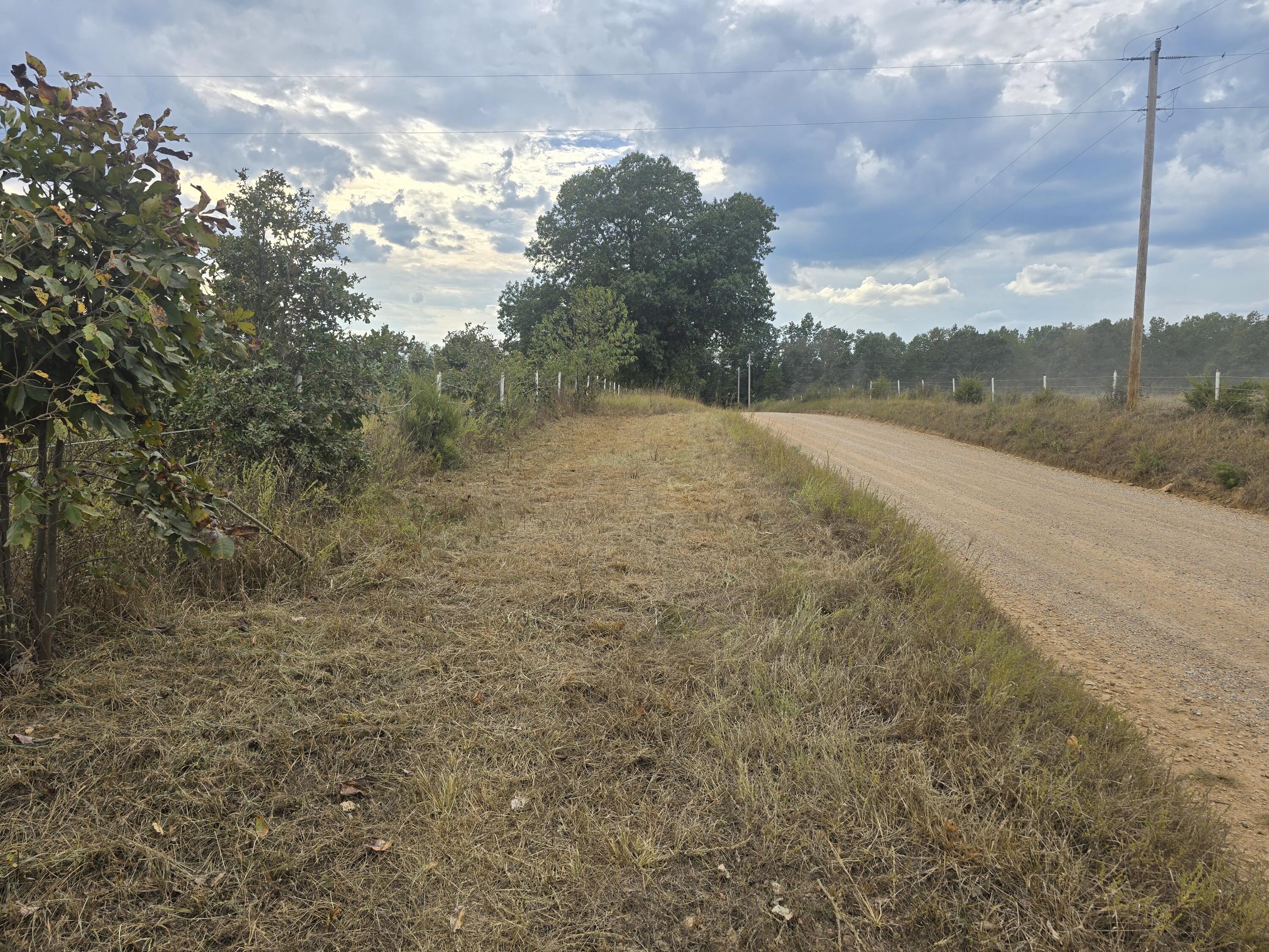 Photo 11 - Land for sale – 000  Golden Trail Drive  Raymondville, MO