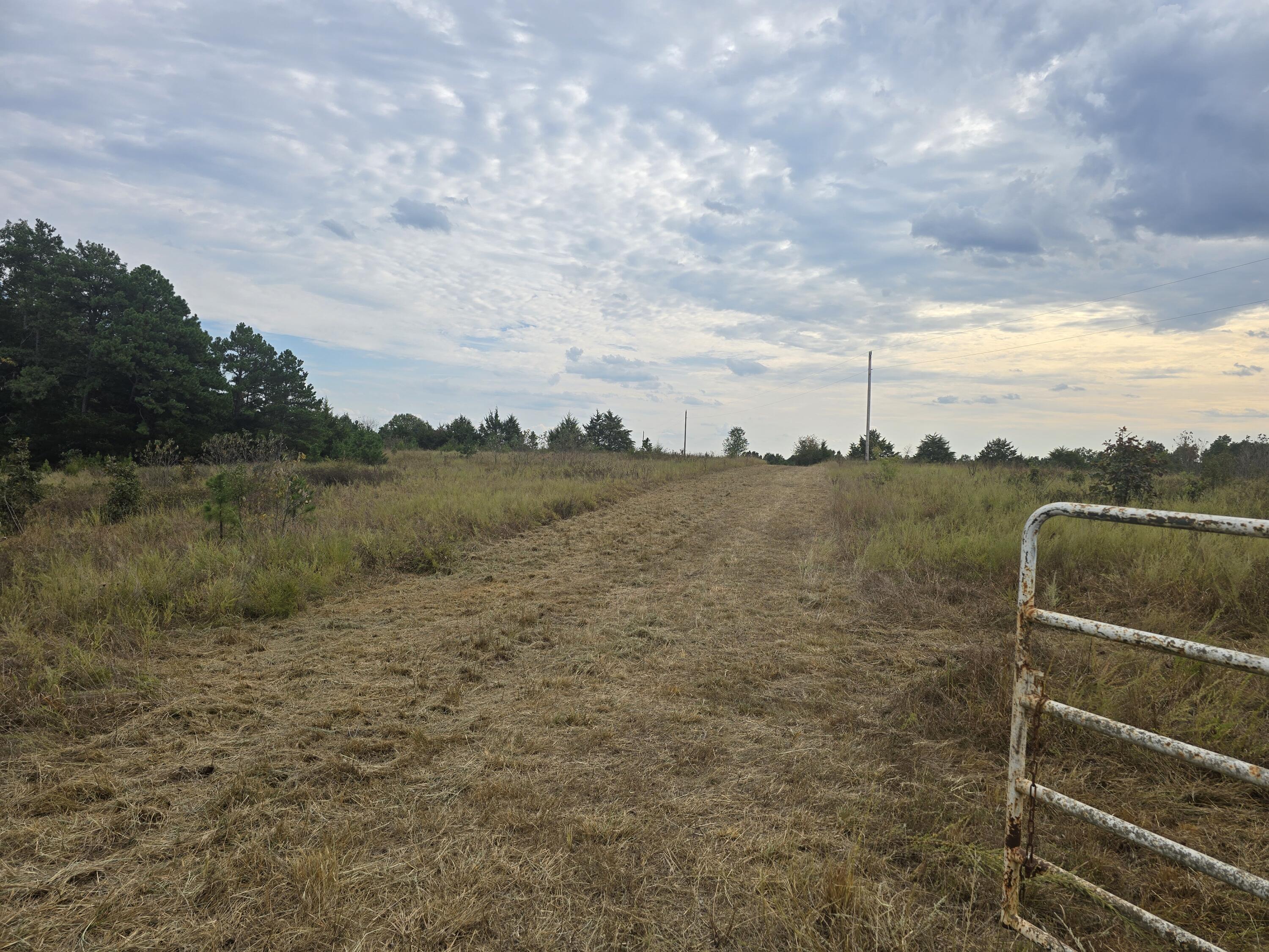Land for sale – 000  Golden Trail Drive  Raymondville, MO
