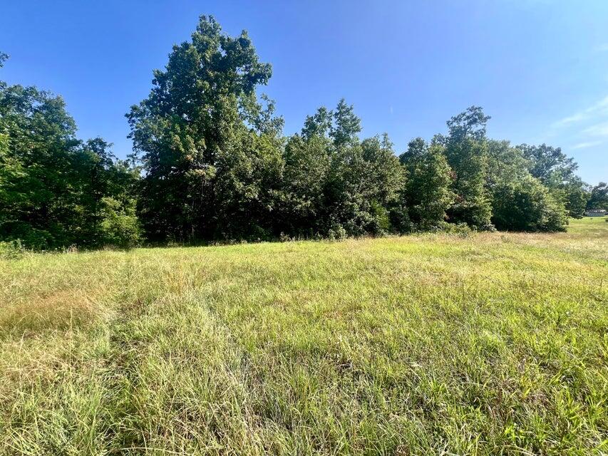 Photo 17 - Land for sale – 000  Highway Z Houston   Houston, MO