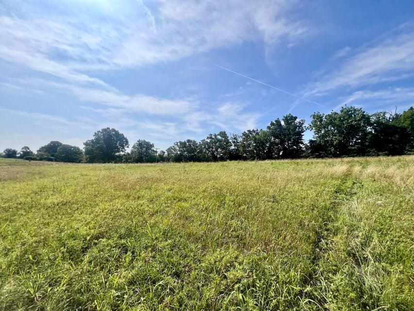 Photo 2 - Land for sale – 000  Highway Z Houston   Houston, MO