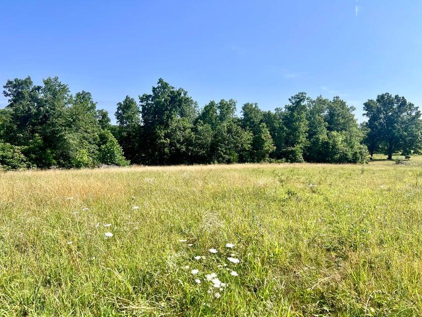 Land for sale – 000  Highway Z Houston   Houston, MO