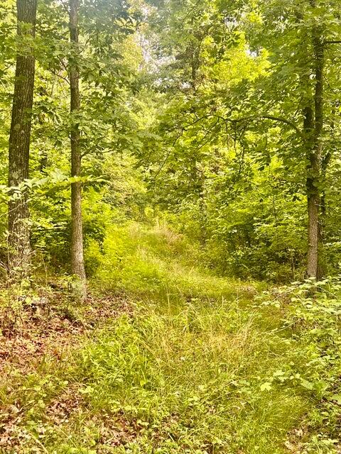 Photo 7 - Land for sale – 000  Highway Z Houston   Houston, MO