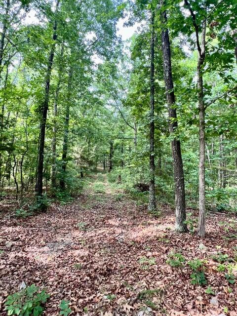 Photo 11 - Land for sale – 000  Highway Z Houston   Houston, MO