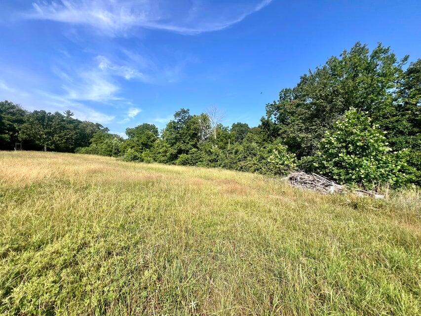 Photo 16 - Land for sale – 000  Highway Z Houston   Houston, MO