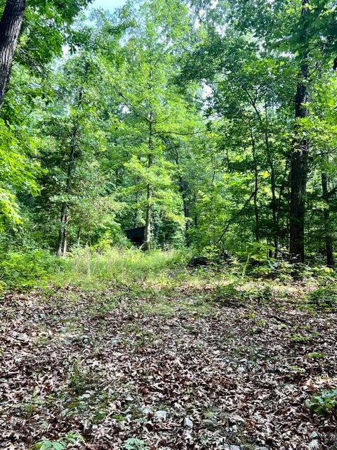 Photo 10 - Land for sale – 000  Highway Z Houston   Houston, MO