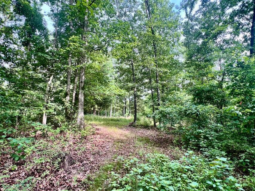 Photo 6 - Land for sale – 000  Highway Z Houston   Houston, MO