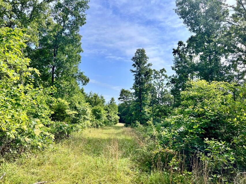 Photo 12 - Land for sale – 000  Highway Z Houston   Houston, MO