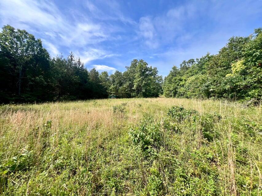 Photo 4 - Land for sale – 000  Highway Z Houston   Houston, MO