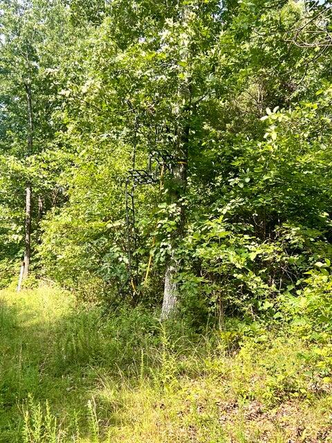 Photo 14 - Land for sale – 000  Highway Z Houston   Houston, MO