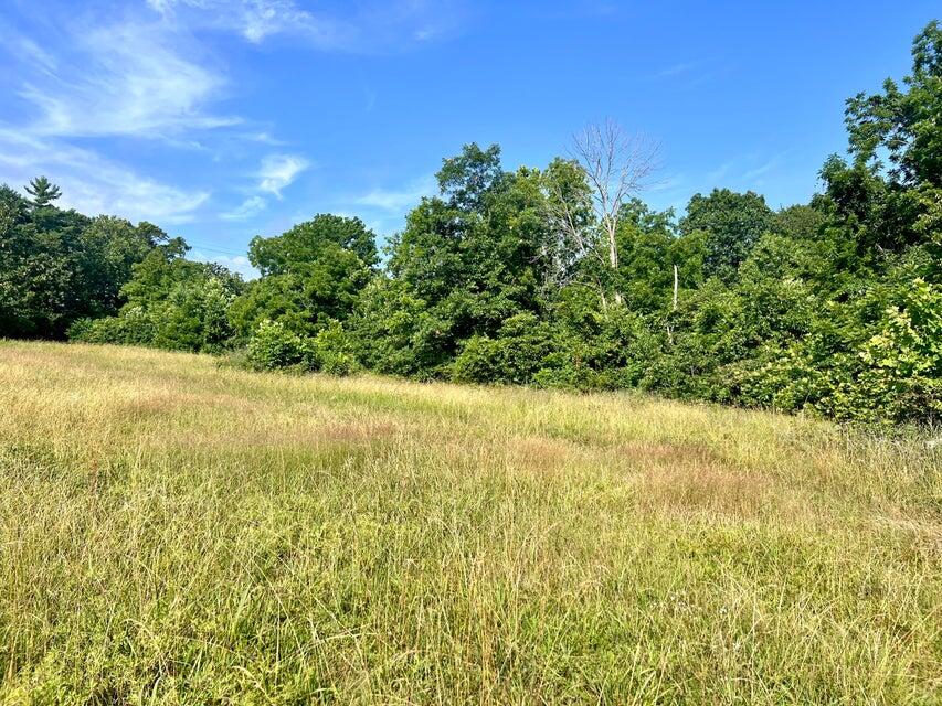 Photo 15 - Land for sale – 000  Highway Z Houston   Houston, MO