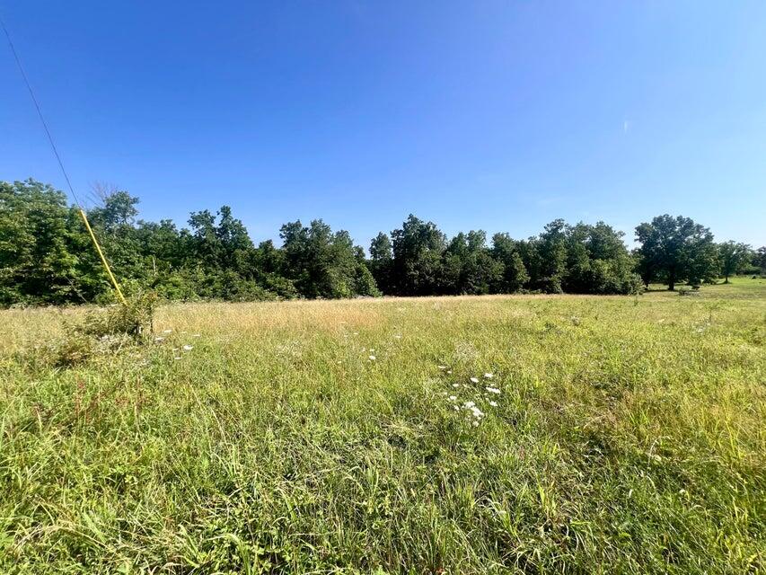Photo 3 - Land for sale – 000  Highway Z Houston   Houston, MO