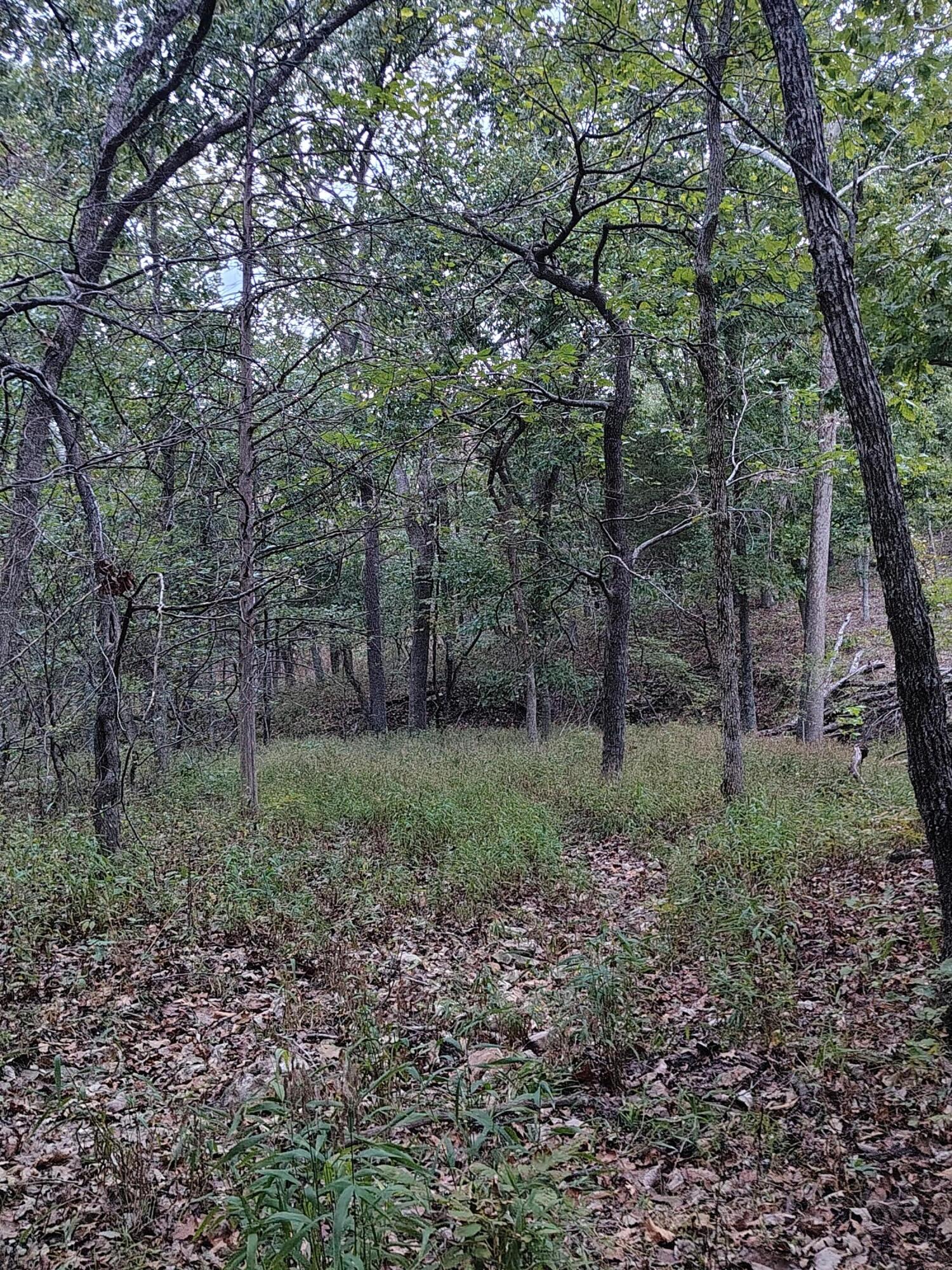Photo 21 - Farm for sale – 30001  State Highway Hh   Urbana, MO