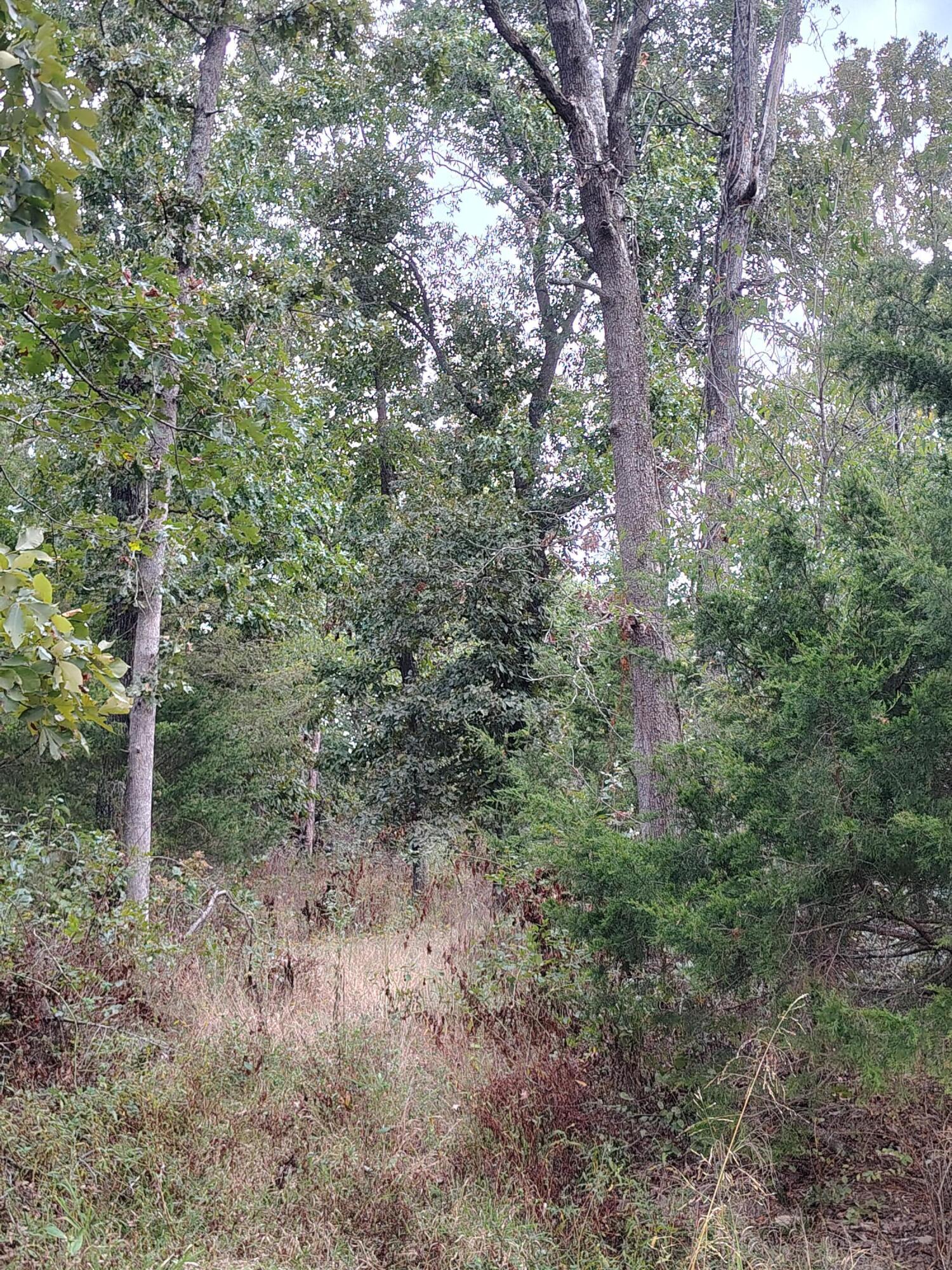 Photo 14 - Farm for sale – 30001  State Highway Hh   Urbana, MO