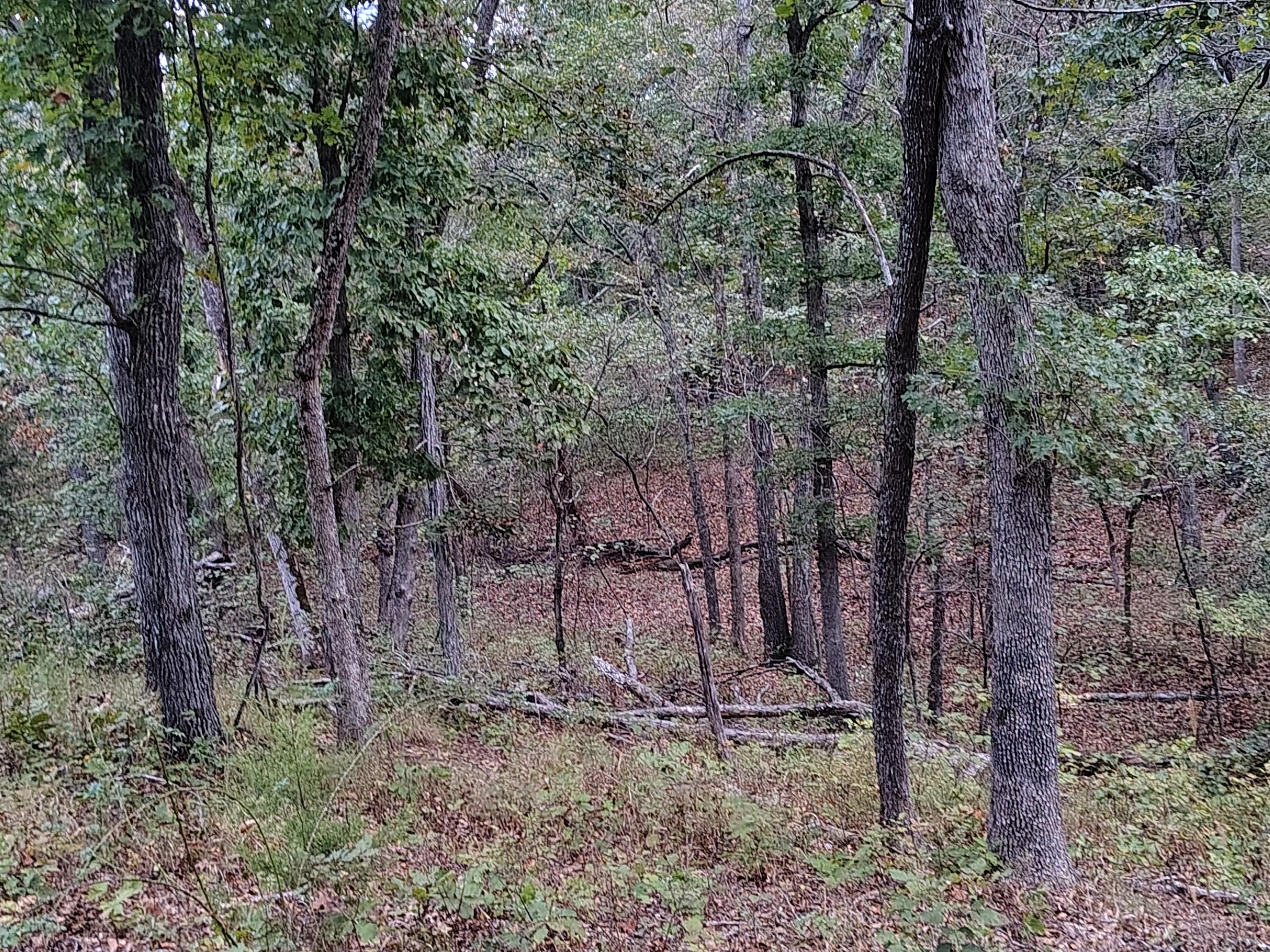 Photo 18 - Farm for sale – 30001  State Highway Hh   Urbana, MO