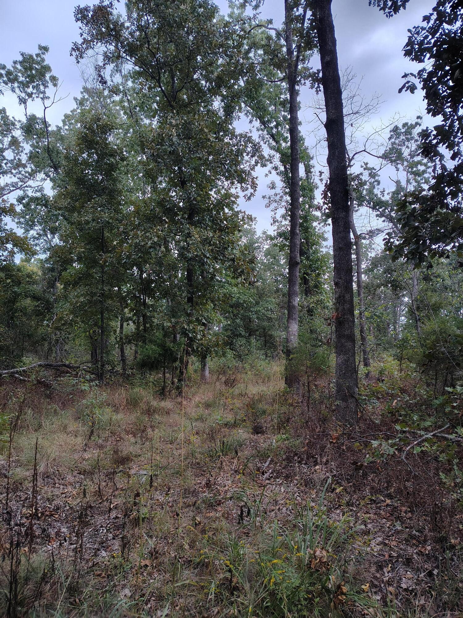 Photo 17 - Farm for sale – 30001  State Highway Hh   Urbana, MO
