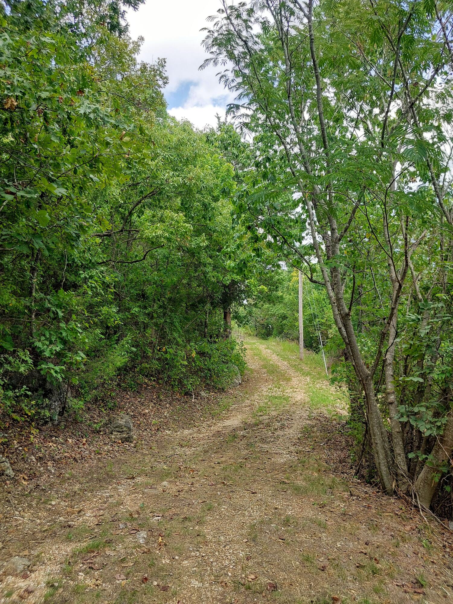 Photo 14 - Land for sale – 20876  Stonington N  Omaha, AR