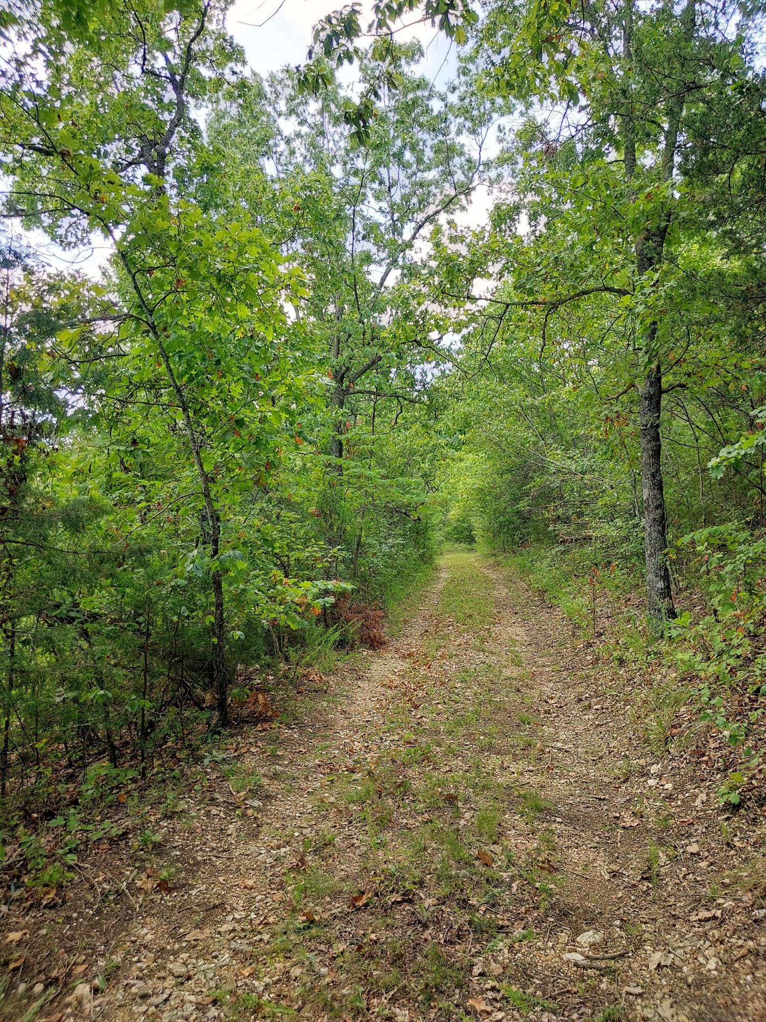 Photo 13 - Land for sale – 20876  Stonington N  Omaha, AR