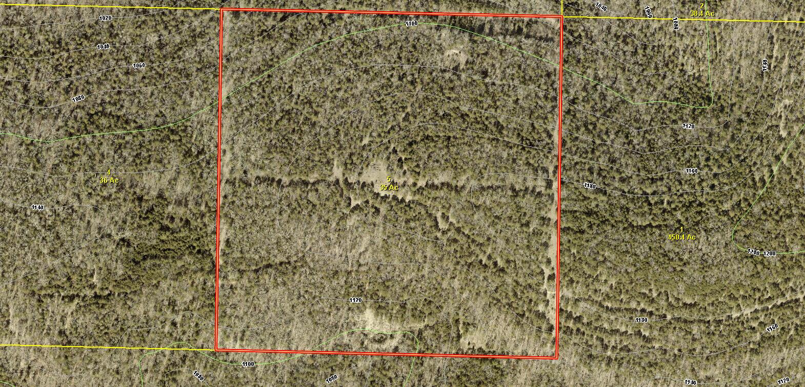 Photo 3 - Land for sale – 000  State Highway Uu Road  Chadwick, MO