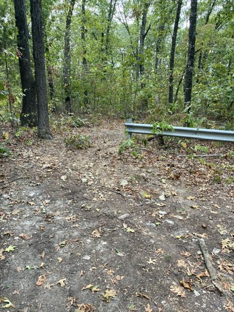 Photo 6 - Land for sale – 000  State Highway Uu Road  Chadwick, MO