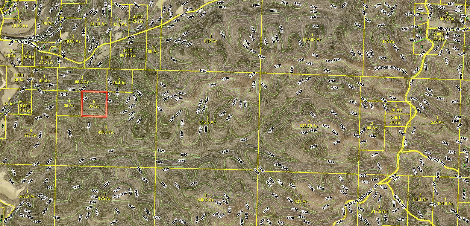 Photo 2 - Land for sale – 000  State Highway Uu Road  Chadwick, MO