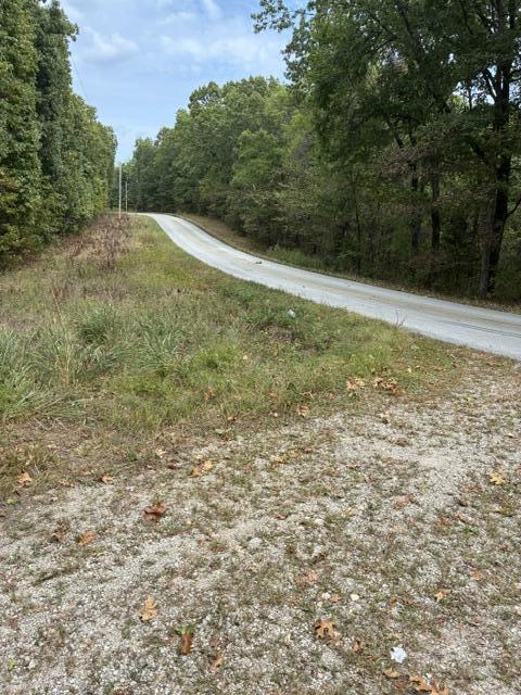 Photo 4 - Land for sale – 000  State Highway Uu Road  Chadwick, MO