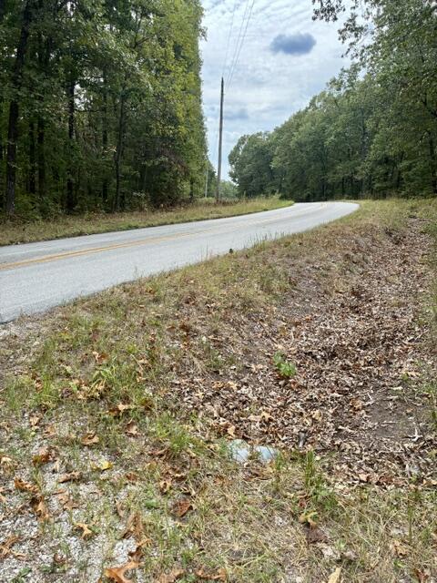 Photo 5 - Land for sale – 000  State Highway Uu Road  Chadwick, MO