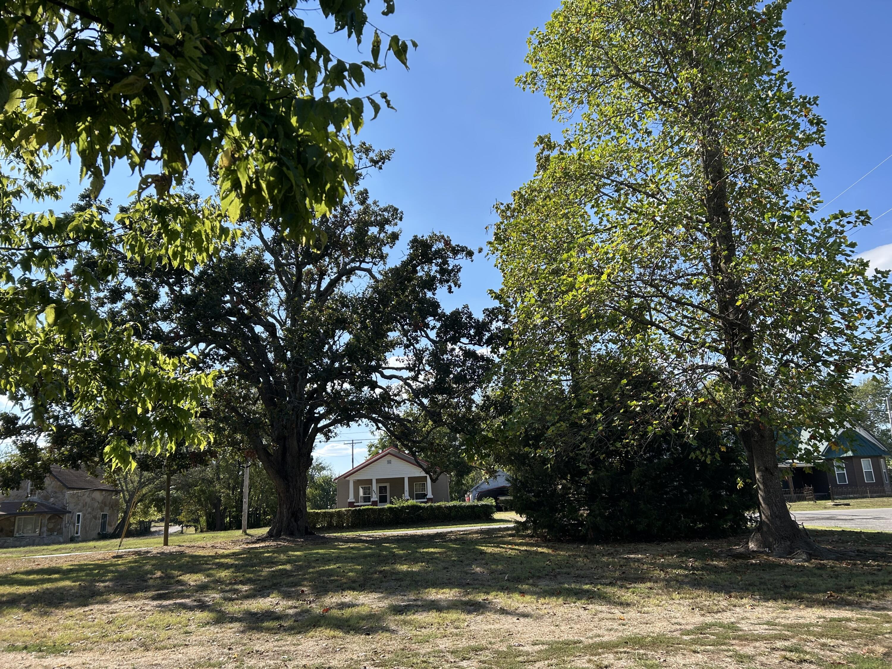 Photo 59 - Residential for sale – 102  Broadway Street  Exeter, MO