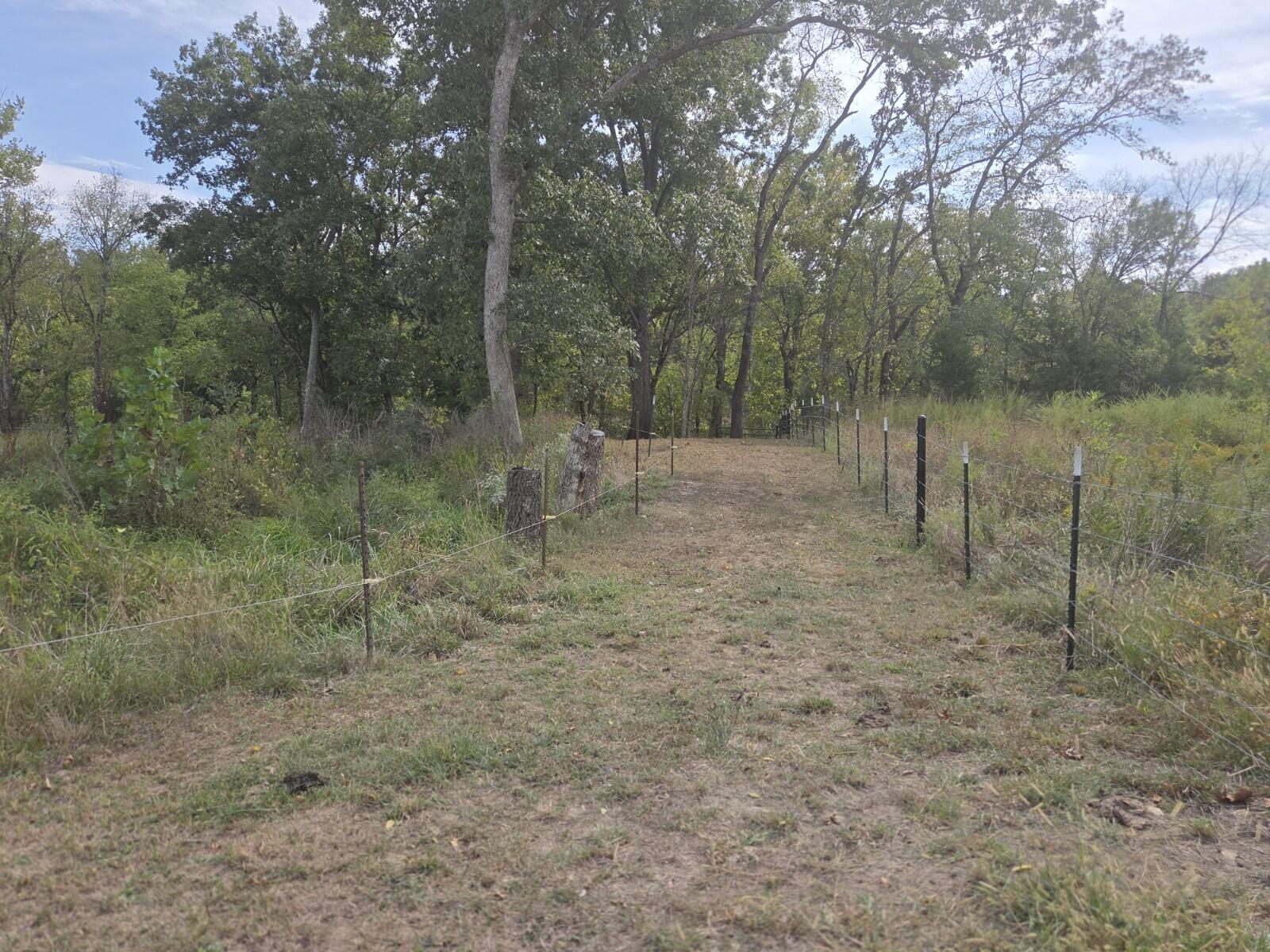 Photo 15 - Land for sale – Tbd  Cleveland Road  Houston, MO