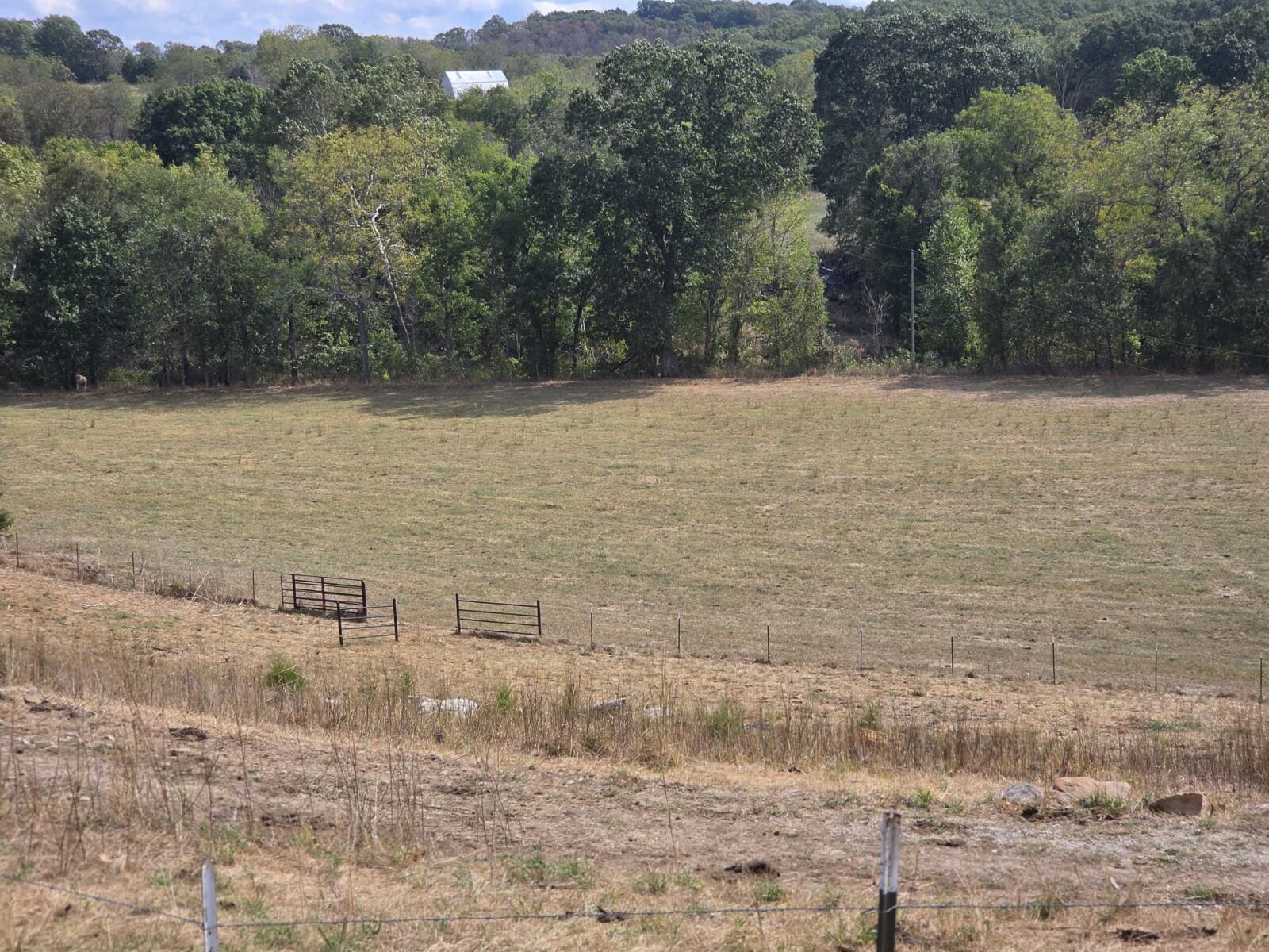 Photo 8 - Land for sale – Tbd  Cleveland Road  Houston, MO