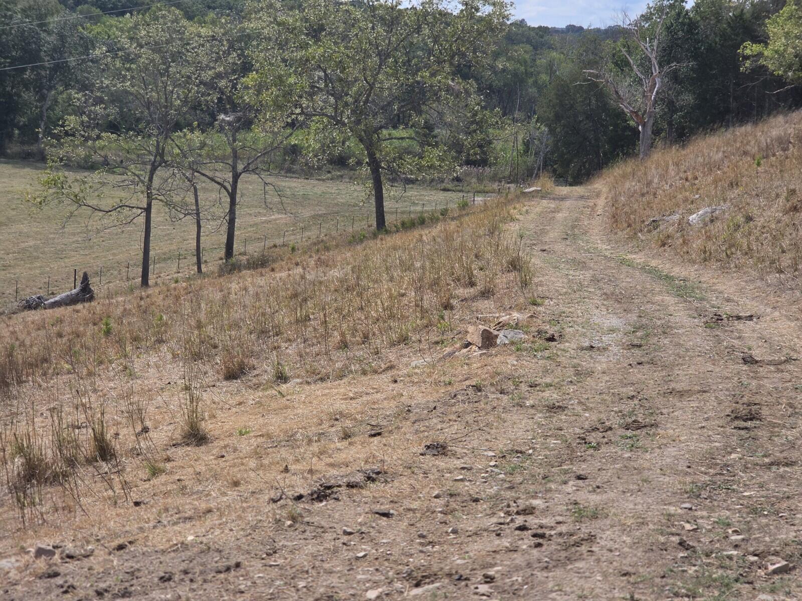 Photo 10 - Land for sale – Tbd  Cleveland Road  Houston, MO